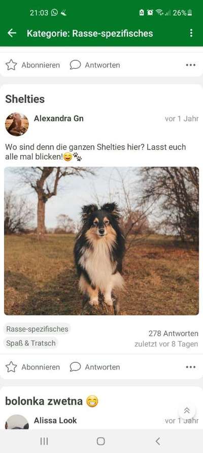 Herdenschutzhunde-Beitrag-Bild