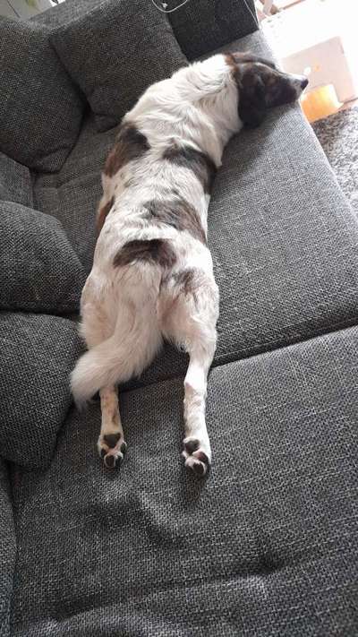 Verrückte Schlafpositionen-Beitrag-Bild