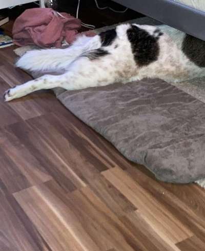 CHALLENGE NR. 34 - Liege-/Schlafpositionen-Beitrag-Bild