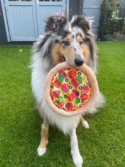 Fotochallange Nr. 57     PORTRÄT.   Beendet!!!!!!!!-Beitrag-Bild