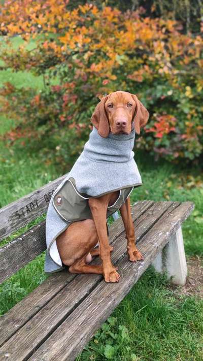 Dogorama Photo Challenge - Gassipause-Beitrag-Bild