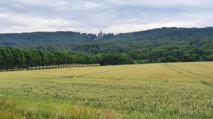 Hundeauslaufgebiet-Hessenschanze/Prinzenquelle-Bild