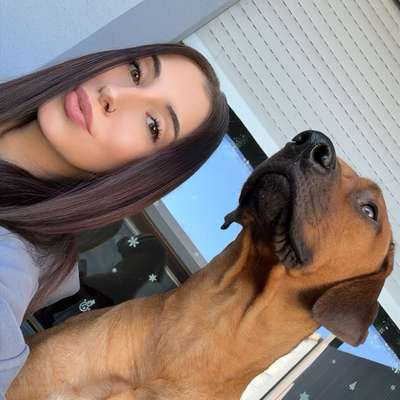 Hundetreffen-Lange Spaziergänge-Bild