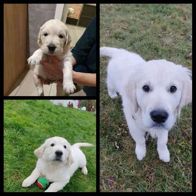 Vorher.... Nachher-Beitrag-Bild