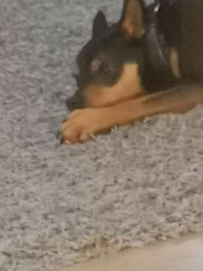 Un...scharf Bilder-Beitrag-Bild