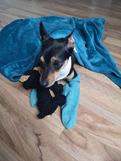 Süße Winteroutfits 😍-Beitrag-Bild