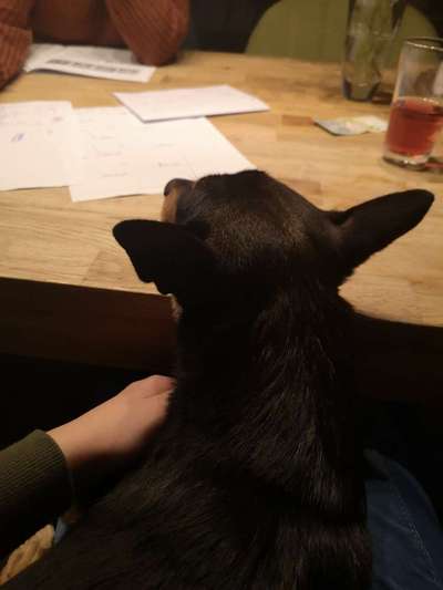 Hier ist der Spaßthread. Zum Schmunzeln und Kaputtlachen-Beitrag-Bild