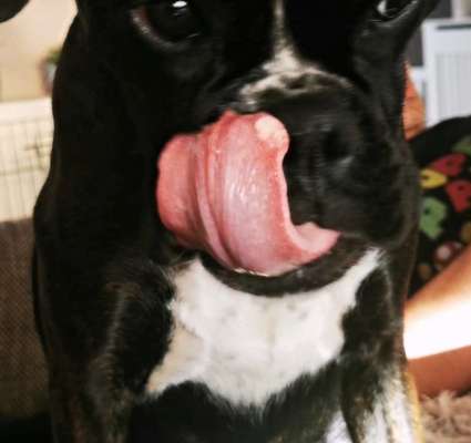 Blase (?) unter der Zunge-Beitrag-Bild