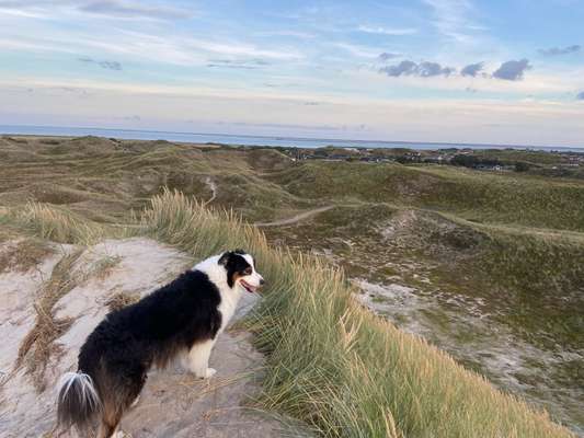 118. Fotochallange-Beitrag-Bild