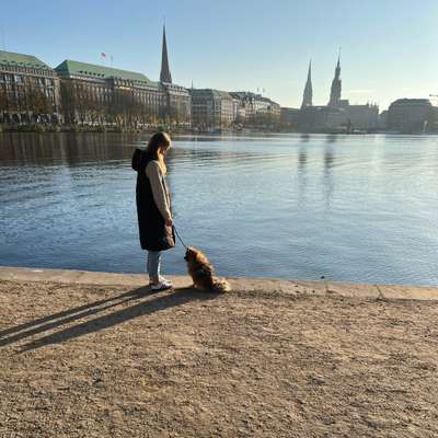 Hundetreffen-Trainigsspaziergang „Social Walk“