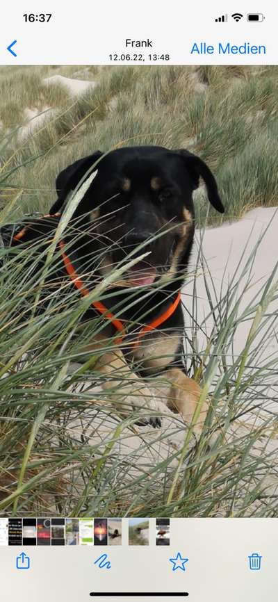 Lieblingsbild-Beitrag-Bild