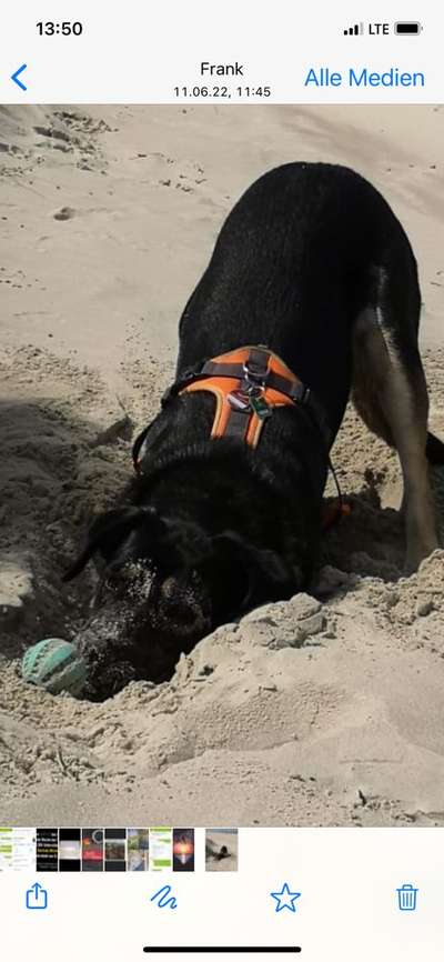 Fotowettbewerb Natur-Beitrag-Bild