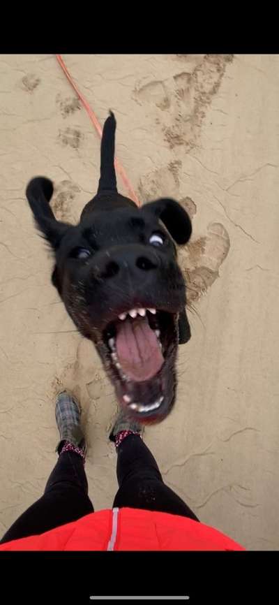 Hier ist der Spaßthread. Zum Schmunzeln und Kaputtlachen-Beitrag-Bild