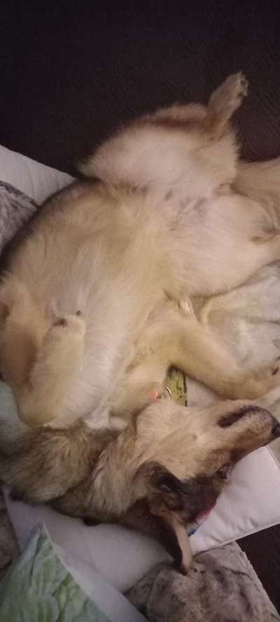 Foto Challenge Nr. 134-Beitrag-Bild