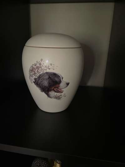 Urne von verstorbenen Haustieren !-Beitrag-Bild