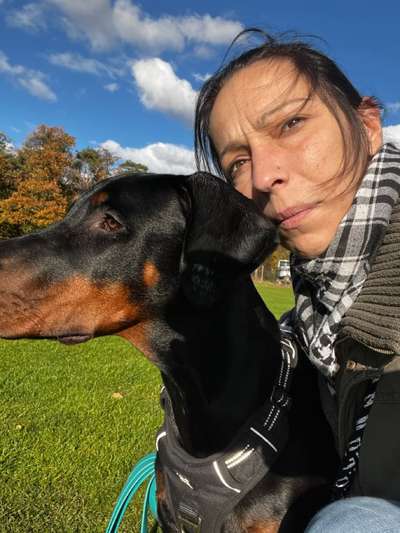 Wo sind hier die Dobermänner-Beitrag-Bild