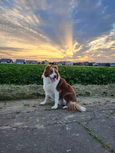 Theos  Fotochallenge Nummer 2-Beitrag-Bild