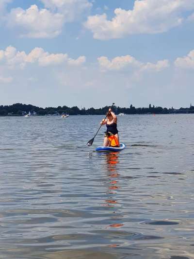 Dogorama-Monats-Challenge-Mai "Wasser"-Beitrag-Bild