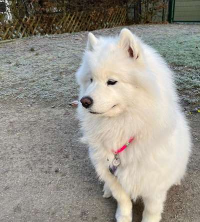 Ungewollte Streicheleinheiten etc.-Beitrag-Bild