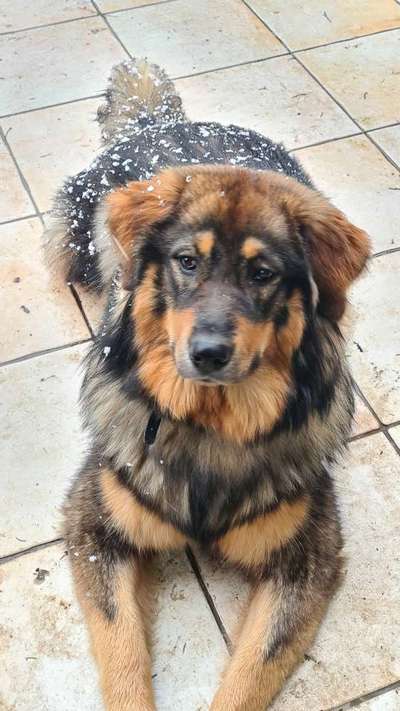 Fotochallange Nr. 57     PORTRÄT.   Beendet!!!!!!!!-Beitrag-Bild