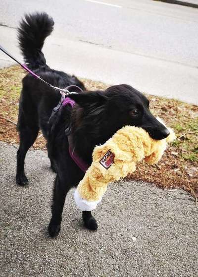 Fotochallenge Nr. 29 - Accessoires-Beitrag-Bild