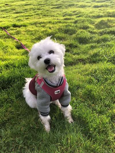 Zeigt eure Portraits-Beitrag-Bild