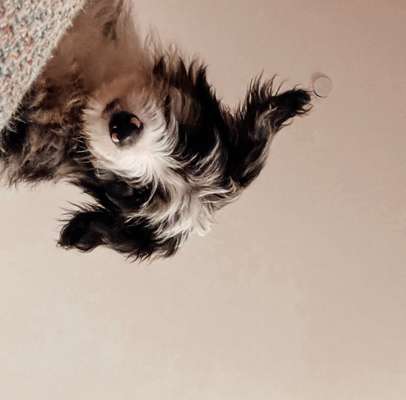 23. Handy Foto-Challenge-Beitrag-Bild