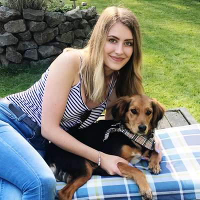 Hundetreffen-Hundetreffen-Profilbild