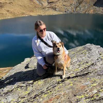 Hundetreffen-Umzug nach BadSchussenried-Bild