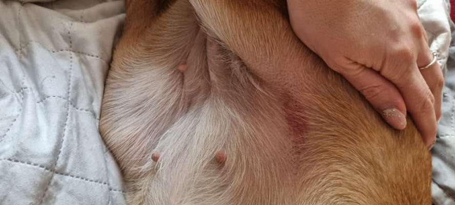 Ausschlag ?-Beitrag-Bild