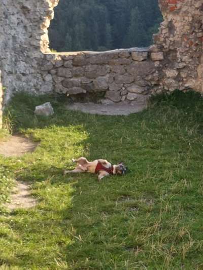 FOTO CHALLENGE Thema ,,durchdrehen"-Beitrag-Bild