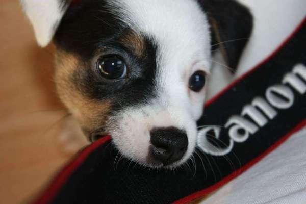 Erstes Bild-Beitrag-Bild