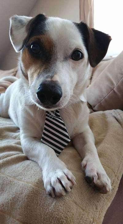 Lieblingsbild-Beitrag-Bild