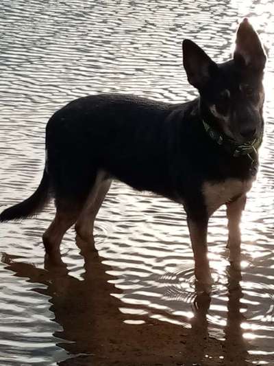 Fotochallenge No. 26                                     Wald und Wiese-Beitrag-Bild