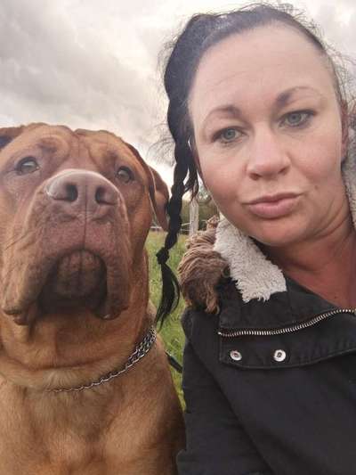 Bordeaux Dogge-Beitrag-Bild