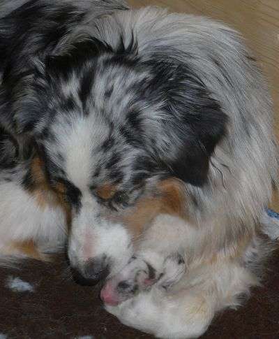 Die unbequemsten und lustigsten Schlafpositionen-Beitrag-Bild