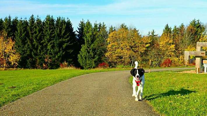 Lieblings Schnappschuss?-Beitrag-Bild