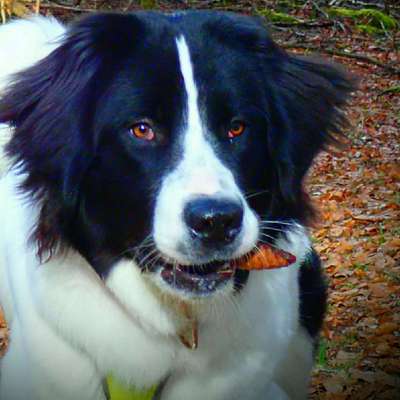 Lieblings Schnappschuss?-Beitrag-Bild