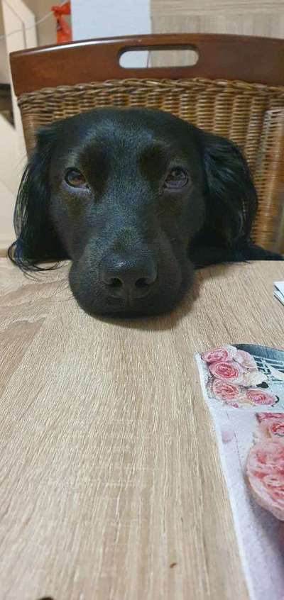 Fotochallange Nr. 57     PORTRÄT.   Beendet!!!!!!!!-Beitrag-Bild