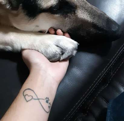 Erinnerungs Tattoos-Beitrag-Bild