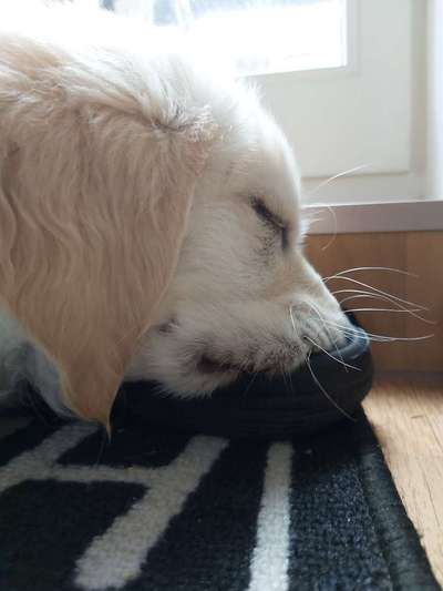 CHALLENGE NR. 34 - Liege-/Schlafpositionen-Beitrag-Bild