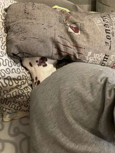 im Gegensatz zu damals.-Beitrag-Bild