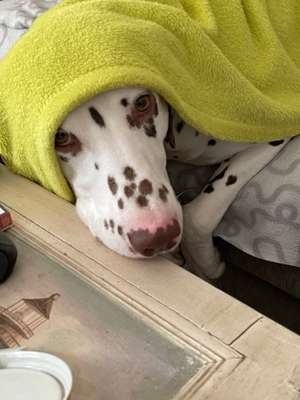 im Gegensatz zu damals.-Beitrag-Bild