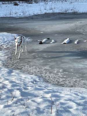 im Gegensatz zu damals.-Beitrag-Bild