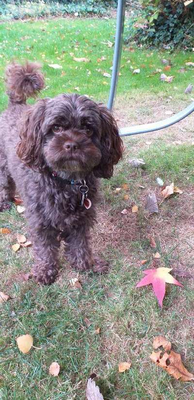 In welchem bundesland lebt ihr-Beitrag-Bild