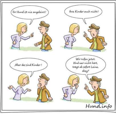 Unangeleinte Hunde-Beitrag-Bild