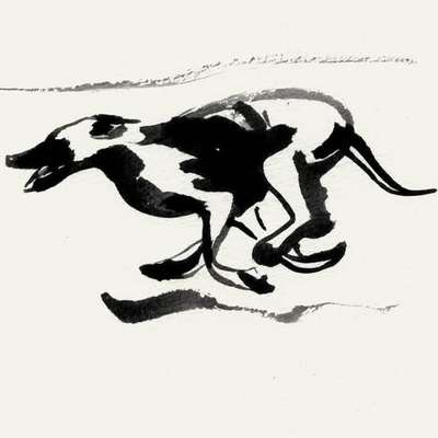 Hundetreffen-Gemeinsame Spaziergänge-Bild