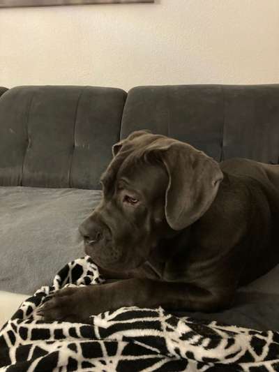 Ton in Ton-Beitrag-Bild