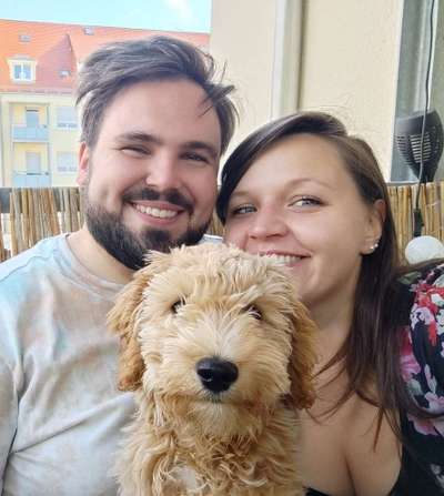 Hundetreffen-Kleine Spielkameraden gesucht🐶-Bild