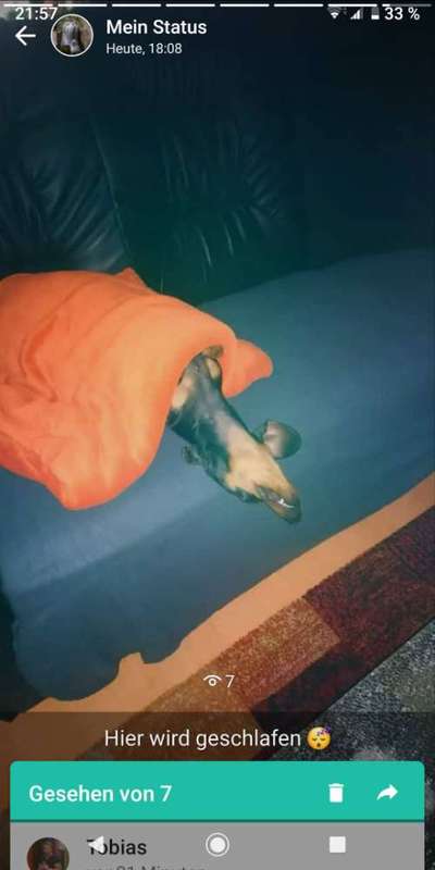 Die unbequemsten und lustigsten Schlafpositionen-Beitrag-Bild